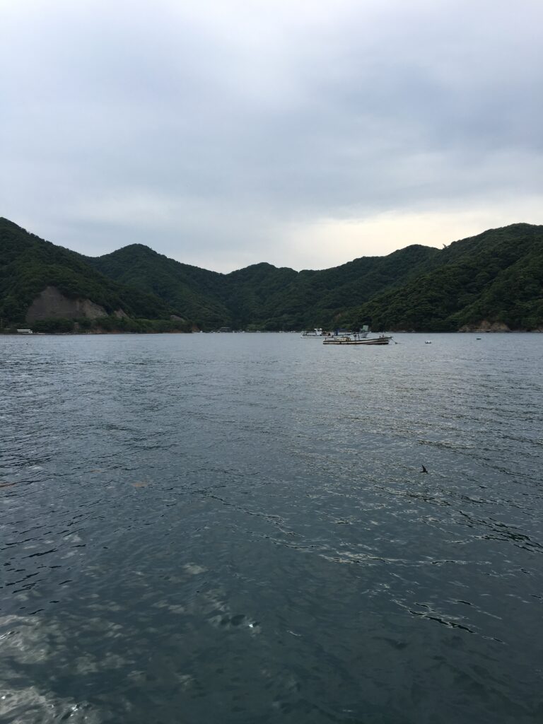 いつもの常神半島