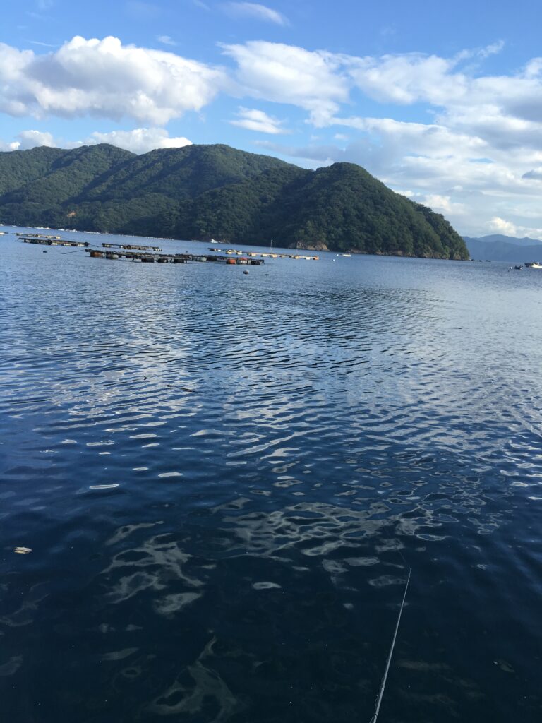 夕方の常神半島