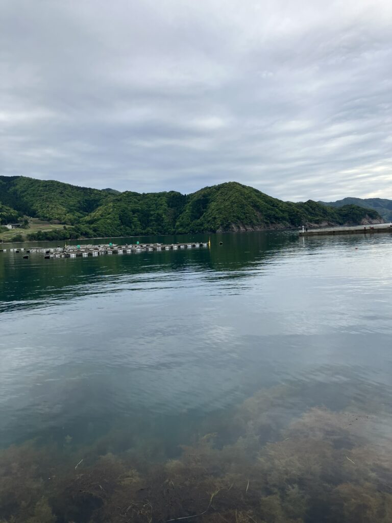 若狭湾のエギングポイント