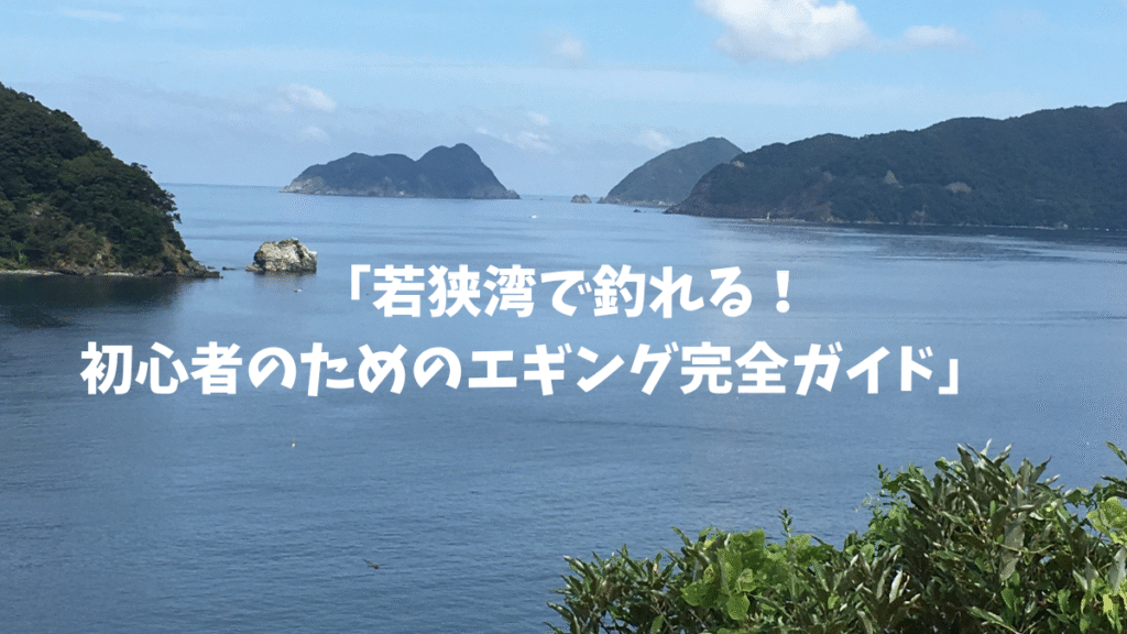 若狭湾で釣れる　初心者のためのエギング完全ガイド