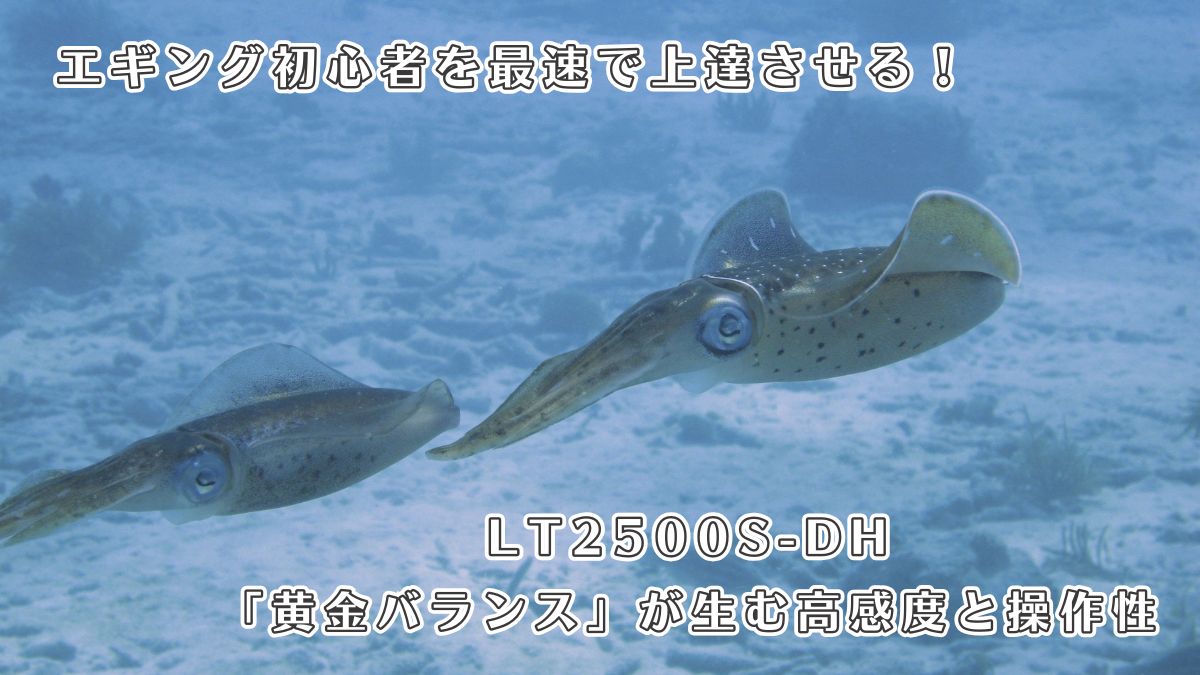 エギングリール lt2500s-dh