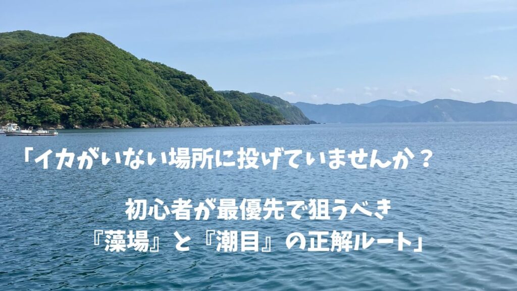 「イカがいない場所に投げていませんか？初心者が最優先で狙うべき『藻場』と『潮目』の正解ルート」